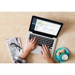 Online Business vs Offline Business