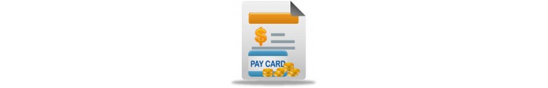 Payment Module